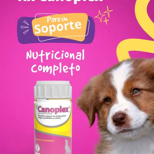 Canoplex para perros en crecimiento — imagen 1