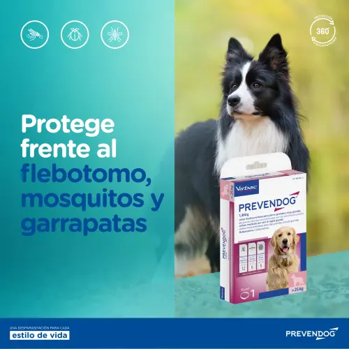 Collares antipulgas Prevendog 60cm para perros medianos y grandes's photo #5