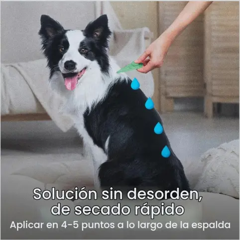 Adams Plus para perros entre 28-68kg (61-150 libras)'s photo #2