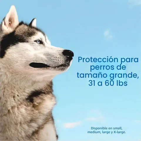 Adams Plus para perros entre 28-68kg (61-150 libras)'s photo #3