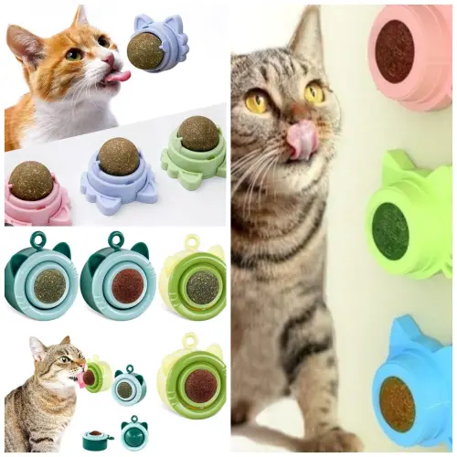 Catnip para gatos — imagen 2