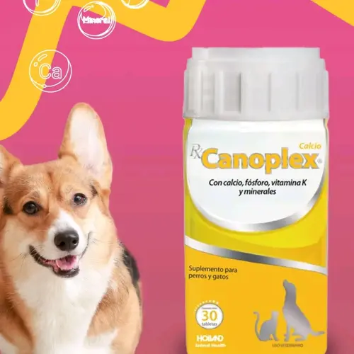 Canoplex — imagen 1