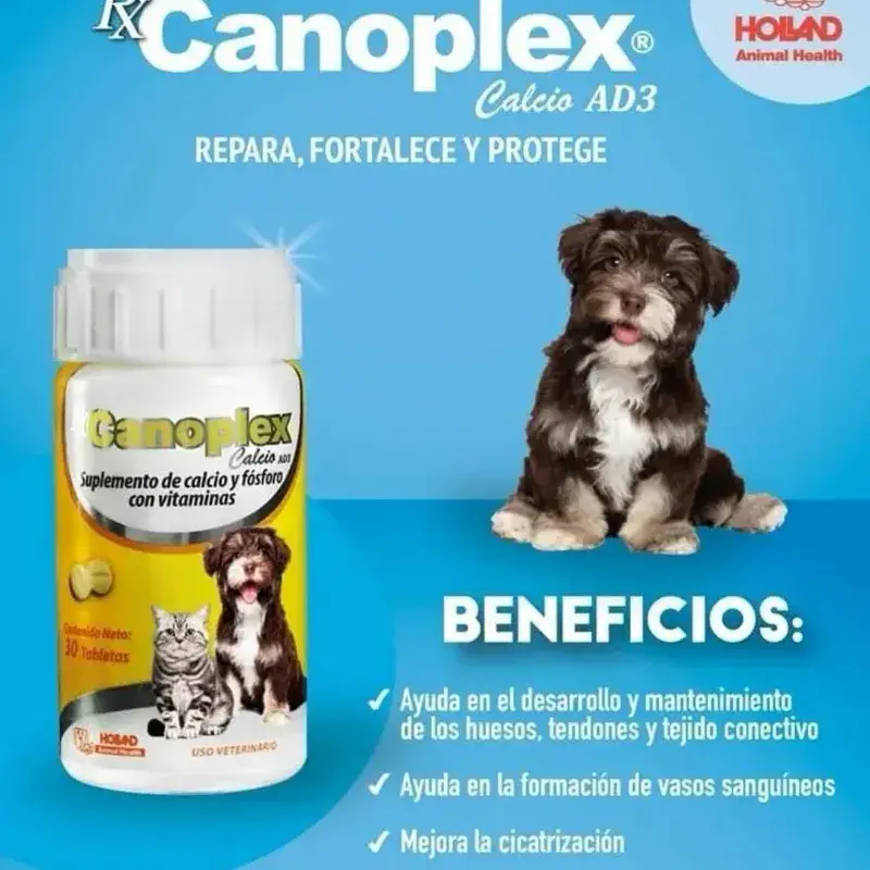 Canoplex — imagen 2