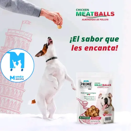 Croquetas italianas para perros — imagen 1