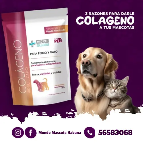 Colágeno para perros y gatos — imagen 1