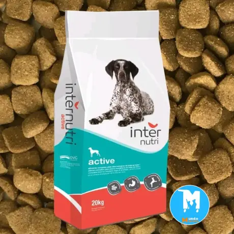 Pienso para perros adultos INTERNUTRI — imagen 2