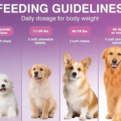 Probióticos para perros (200 tab) — imagen 3