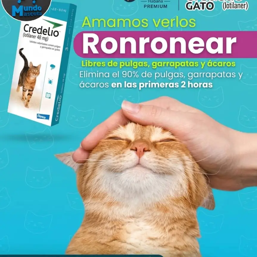 Credelio para gatos — imagen 1