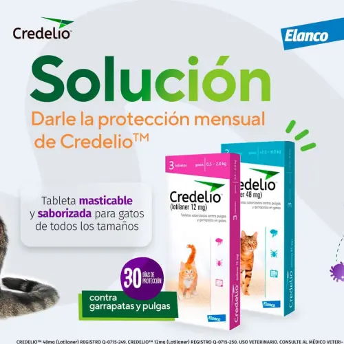 Credelio para gatos — imagen 3