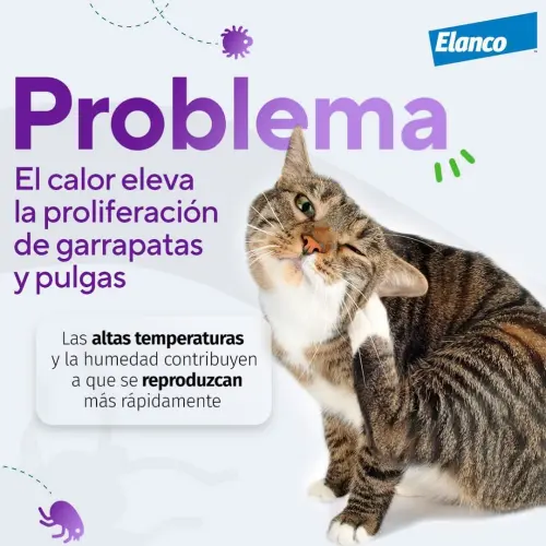 Credelio para gatos — imagen 2