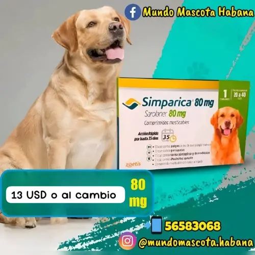 Simparica de 80mg 20-40 kg — imagen 1