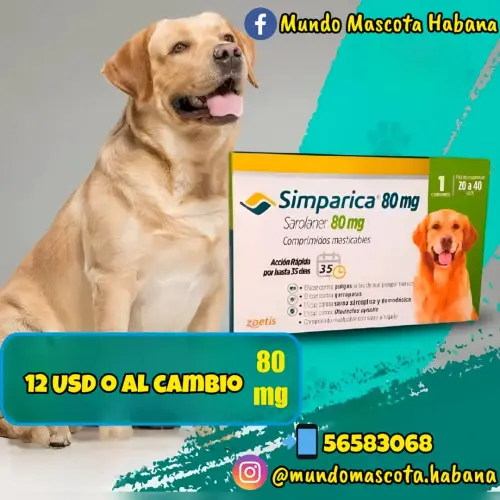 Simpárica de 80mg's photo #1