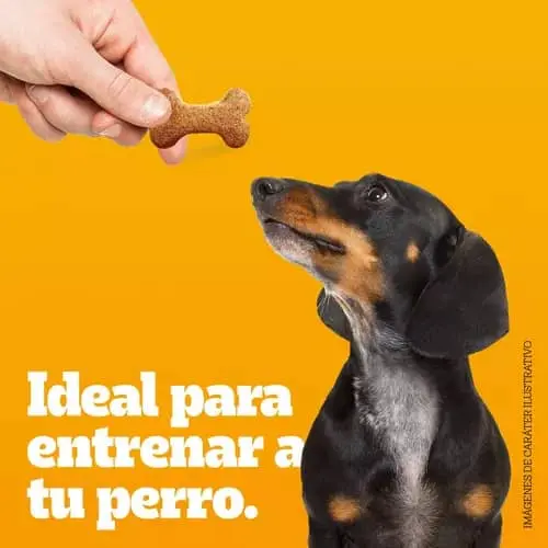 Galletas Biscrok — imagen 3
