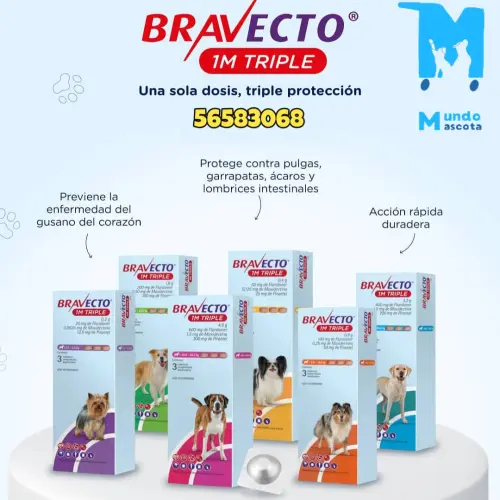 Bravecto 1M Triple 20-40 kg — imagen 2