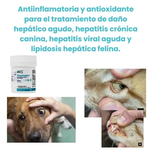 Hepatopets (Silimarina) — imagen 6