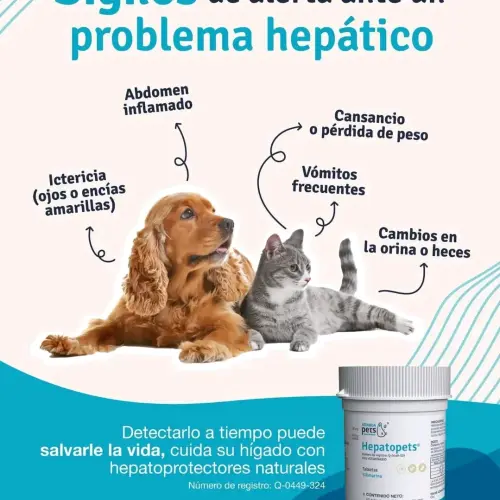 Hepatopets (Silimarina) — imagen 3