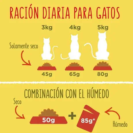 Pienso Purina 4kg para gatos — imagen 6