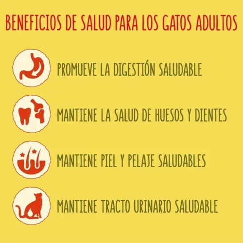Pienso Purina 4kg para gatos — imagen 5