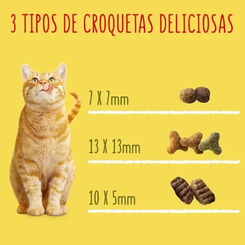 Pienso Purina 4kg para gatos — imagen 3
