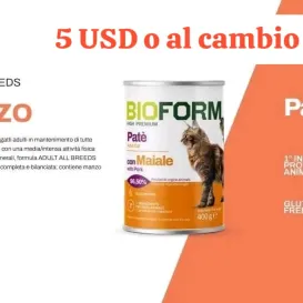 Paté sabor carne de res para gatos — imagen 2