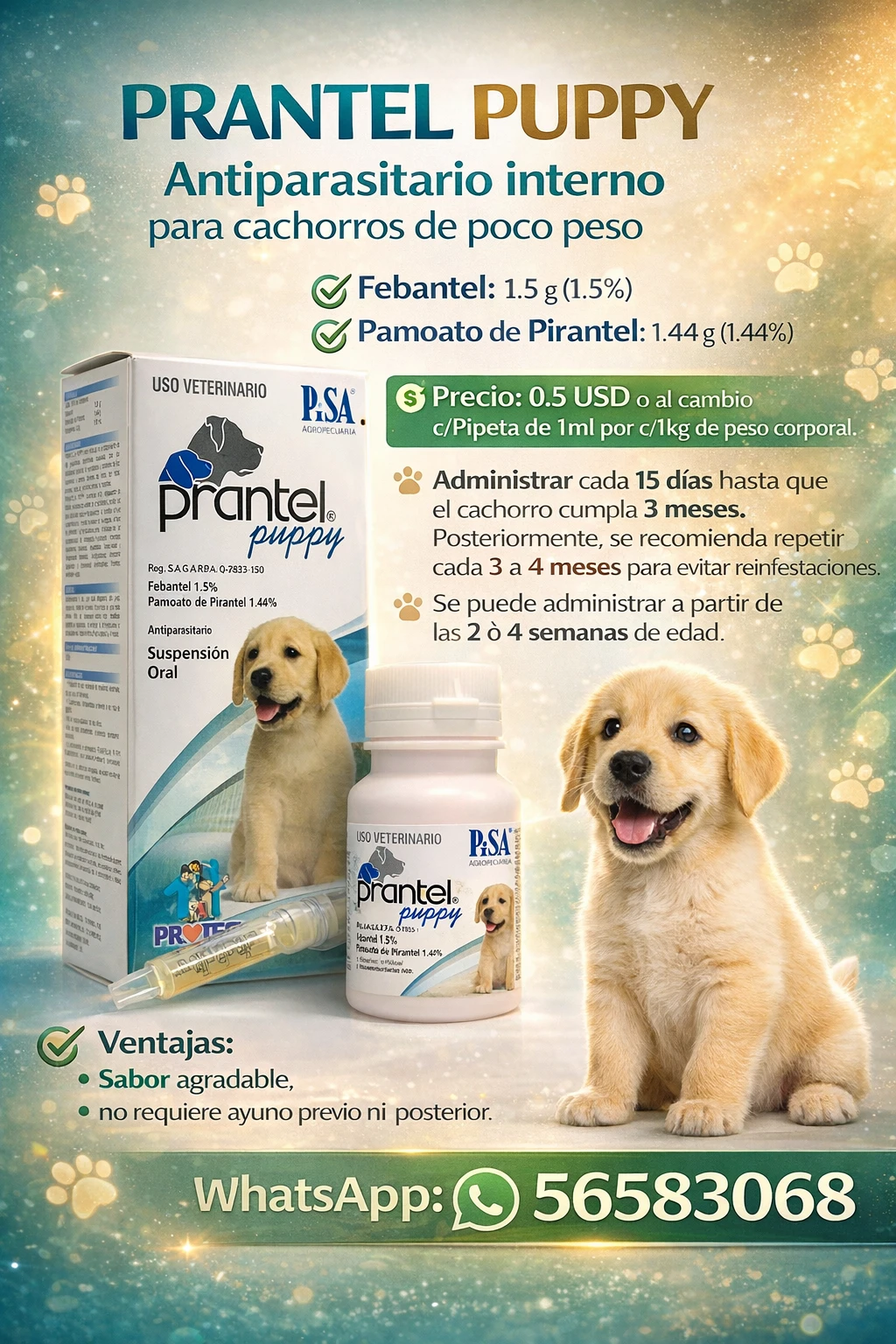 Prantel Puppy frasco de 150ml's foto | Mundo Mascota Habana |  BizneCubano
