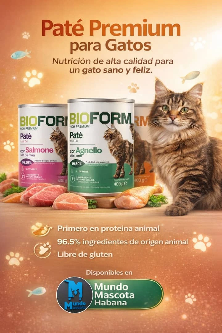 Latas de salmón comida húmeda para gatos's foto | Mundo Mascota Habana |  BizneCubano