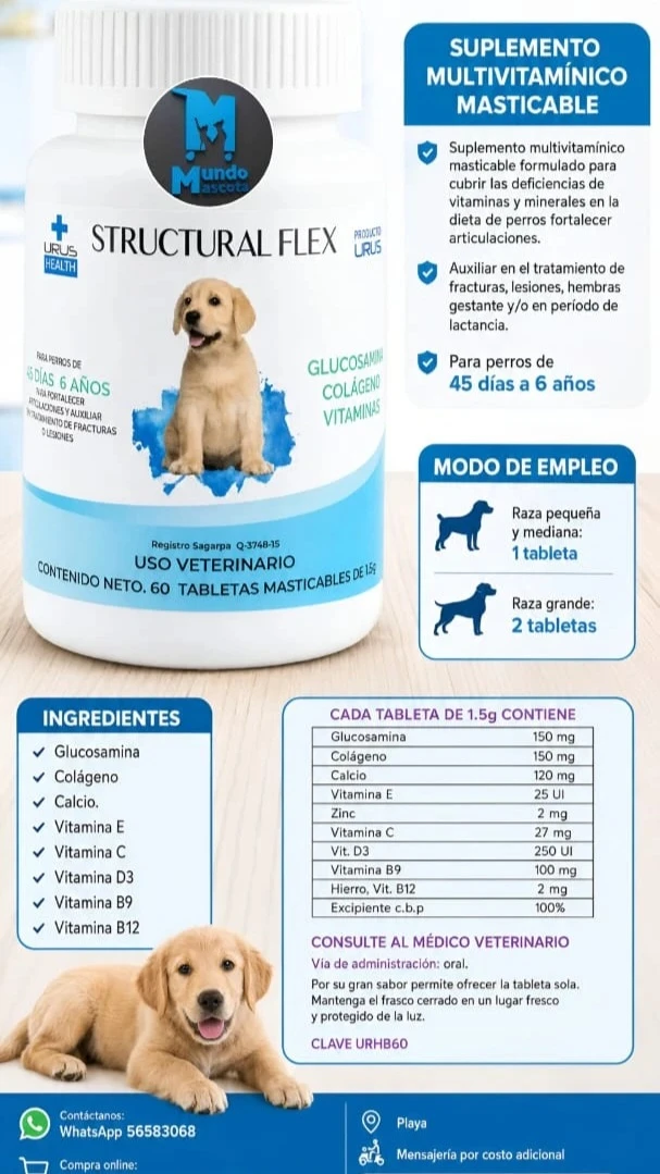 Glucosamina con condoitrina para cachorros's foto | Mundo Mascota Habana |  BizneCubano