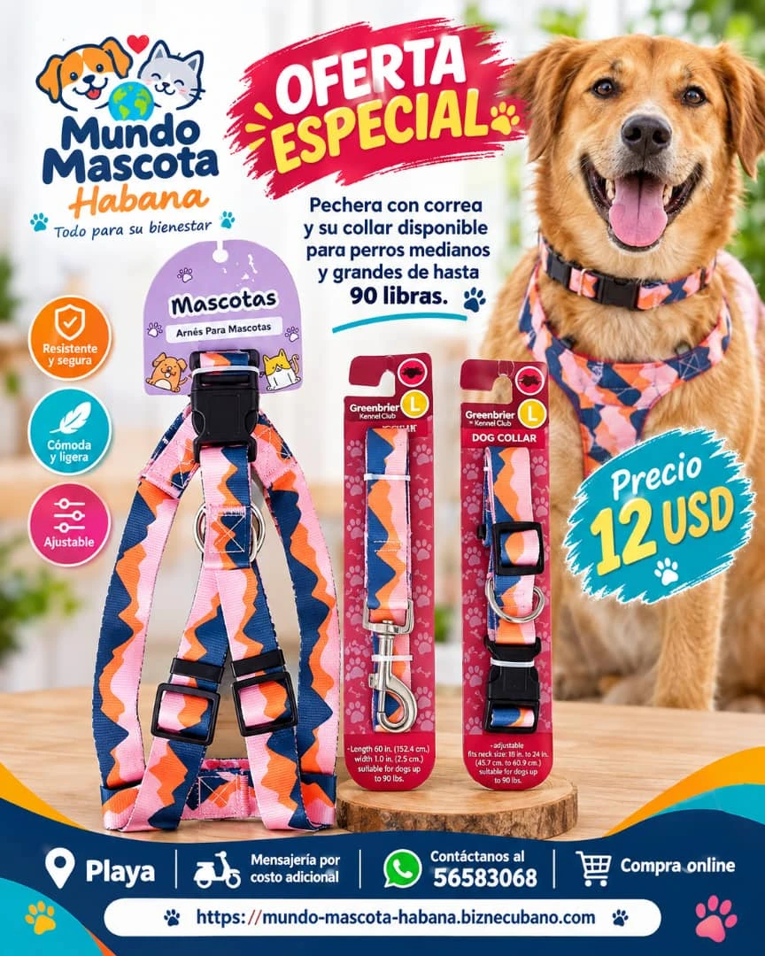 Combo Especial de pechera con arreo y collar Edición Limitada's foto | Mundo Mascota Habana |  BizneCubano