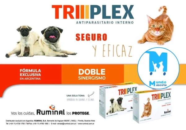 Triplex's foto | Mundo Mascota Habana |  BizneCubano
