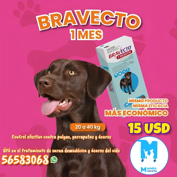 Bravecto 1M (20-40kg)'s foto | Mundo Mascota Habana |  BizneCubano