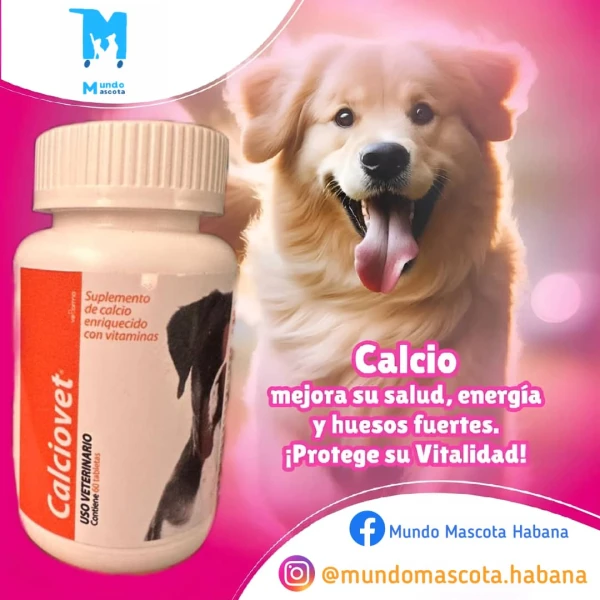 Calviovet's foto | Mundo Mascota Habana |  BizneCubano