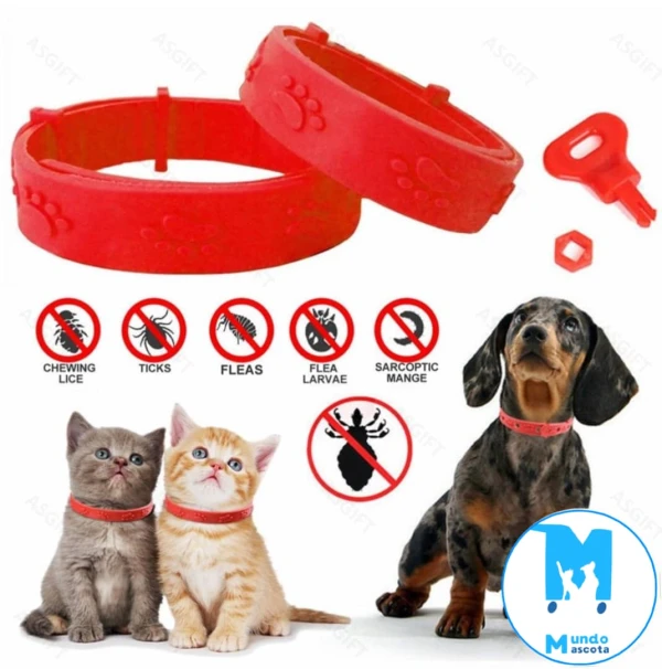 Collar antipulgas y antigarrapatas's foto | Mundo Mascota Habana |  BizneCubano