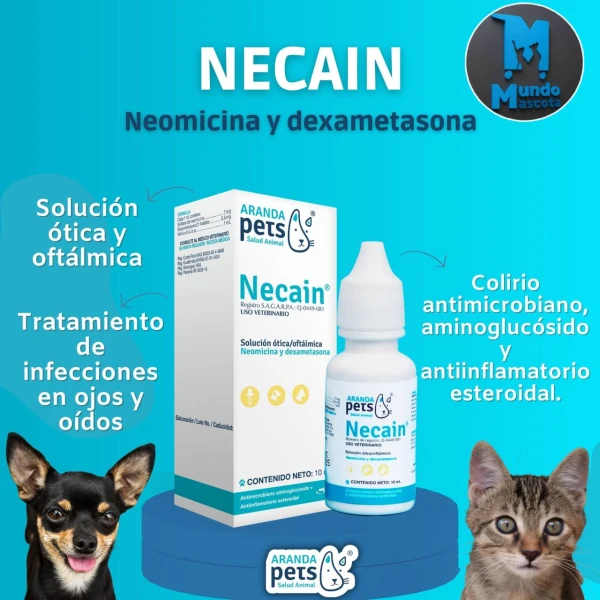 Necain's foto | Mundo Mascota Habana |  BizneCubano