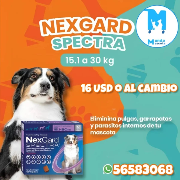 Nexgard Spectra 15.1-30kg's foto | Mundo Mascota Habana |  BizneCubano
