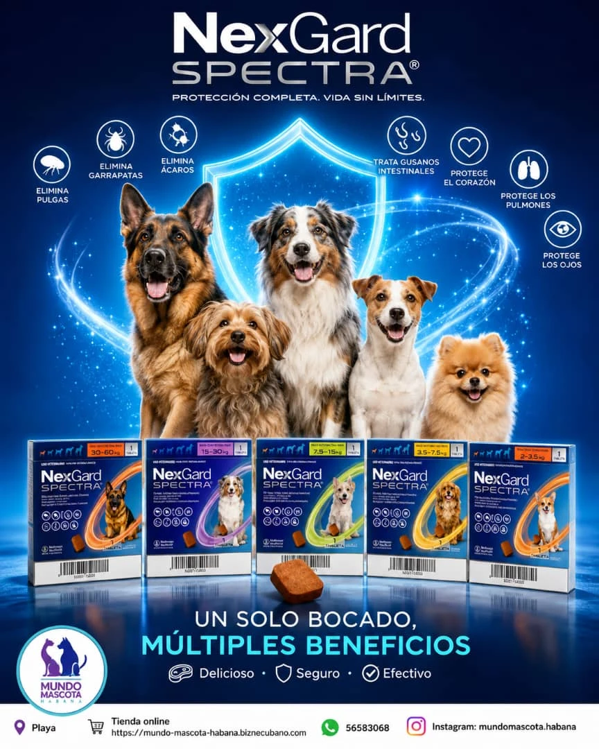 Nexgard Spectra 15.1-30kg's foto | Mundo Mascota Habana |  BizneCubano