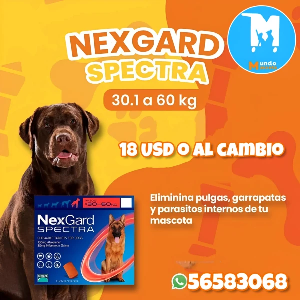 Nexgard Spectra de 30.1-60kg's foto | Mundo Mascota Habana |  BizneCubano