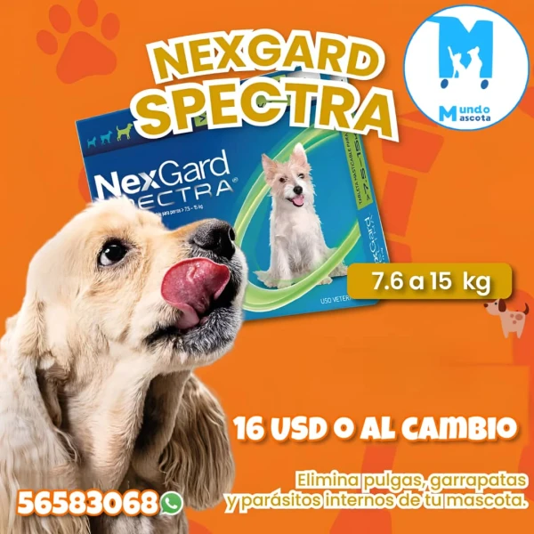 Nexgard Spectra de 7.6 a 15kg's foto | Mundo Mascota Habana |  BizneCubano