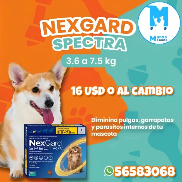 Nexgard Spectra de 3.6 a 7.5 kg's foto | Mundo Mascota Habana |  BizneCubano