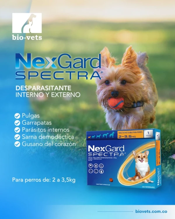 Nexgard Spectra de 2 a 3.5 kg's foto | Mundo Mascota Habana |  BizneCubano