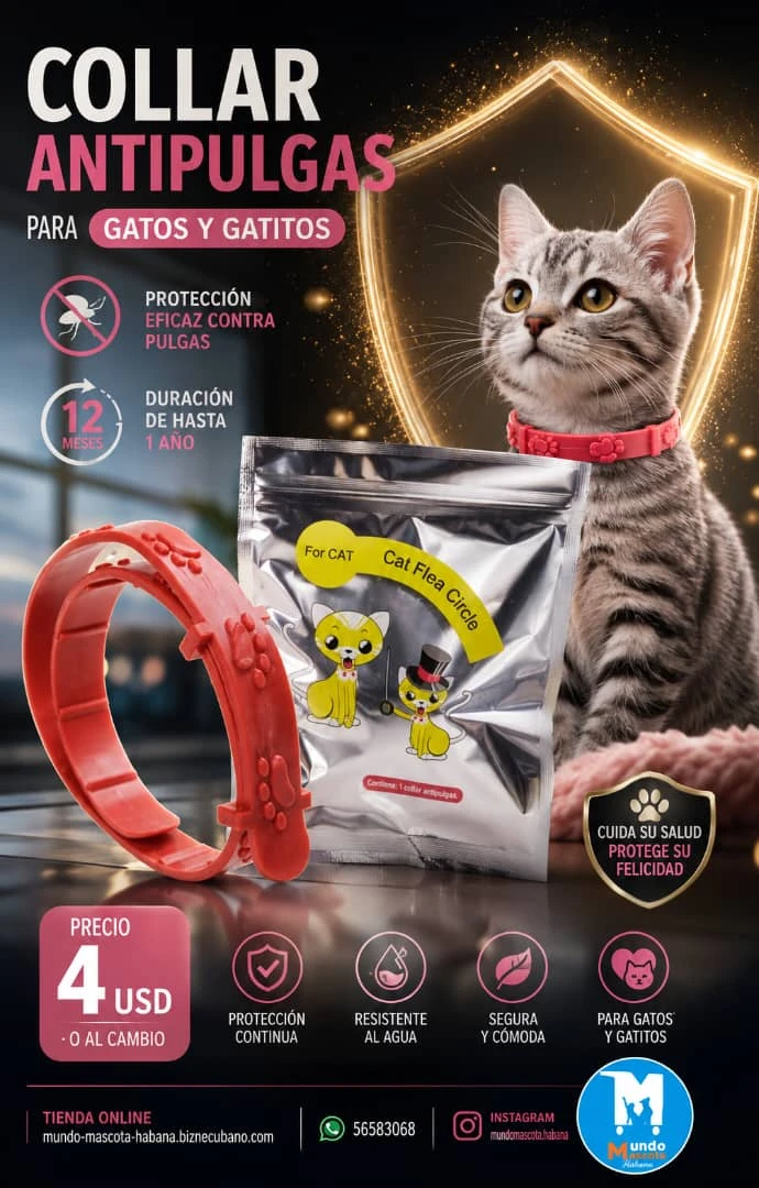 Collar antipulgas para gatos's foto | Mundo Mascota Habana |  BizneCubano