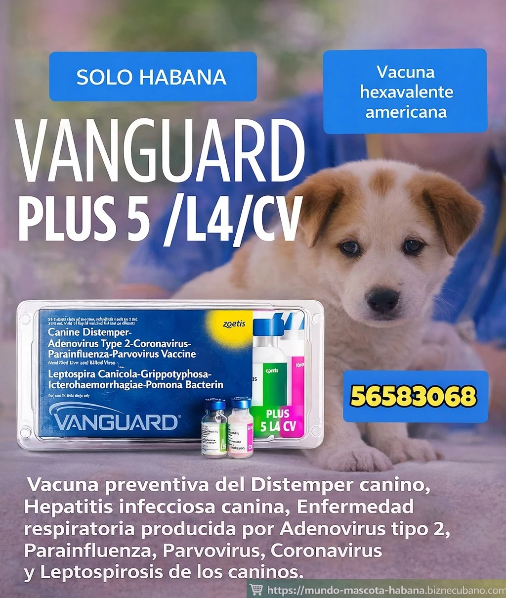 Hexavalente Vanguard Americana's foto | Mundo Mascota Habana |  BizneCubano