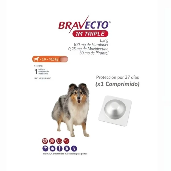 Bravecto 1M Triple 5-10kg's foto | Mundo Mascota Habana |  BizneCubano