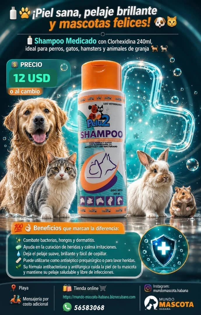Shampoo de Clorhexidina 3% antibacteriano y antimicótico's foto | Mundo Mascota Habana |  BizneCubano