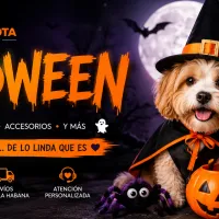 Imagen de Halloween 