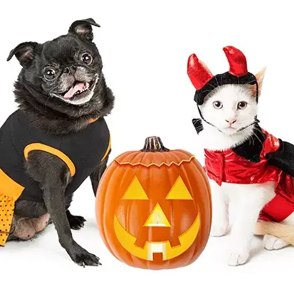Halloween en Mundo Mascota Habana
