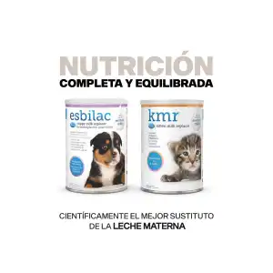 Leche de fórmula para gatos miniatura 2