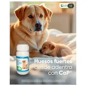 💊🐶🐱 VETRI CAPS – Suplemento de Calcio y Fósforo miniatura 1