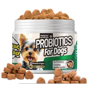 Probióticos para perros sabor pollo miniatura 1