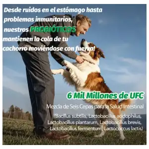 Probióticos para perros sabor pollo miniatura 4