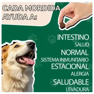 Probióticos para perros sabor pollo miniatura 5